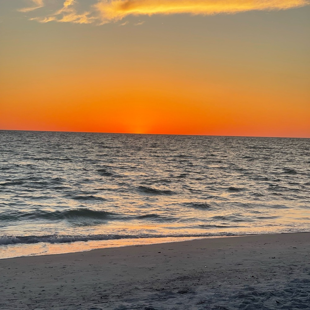 Trade/shipping label